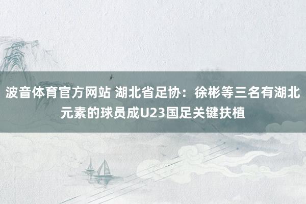 波音体育官方网站 湖北省足协：徐彬等三名有湖北元素的球员成U23国足关键扶植