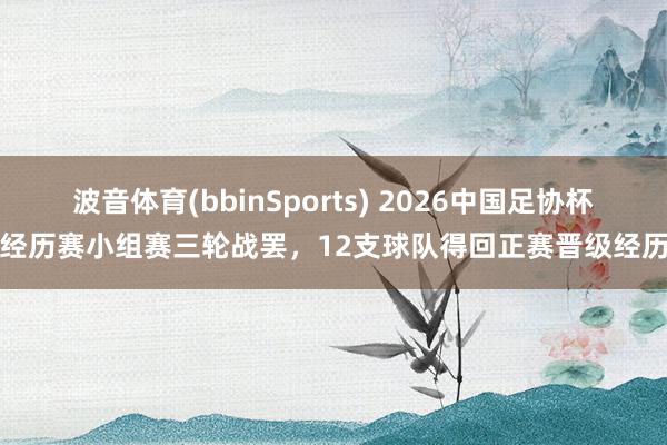 波音体育(bbinSports) 2026中国足协杯经历赛小组赛三轮战罢，12支球队得回正赛晋级经历