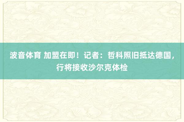 波音体育 加盟在即！记者：哲科照旧抵达德国，行将接收沙尔克体检