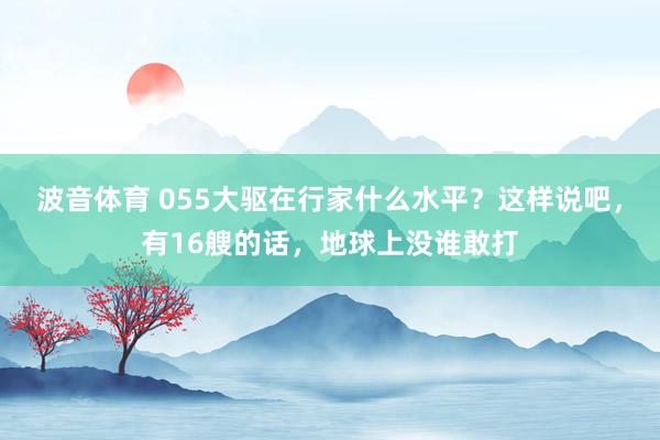 波音体育 055大驱在行家什么水平？这样说吧，有16艘的话，地球上没谁敢打