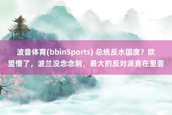 波音体育(bbinSports) 总统反水国度？欧盟懵了，波兰没念念到，最大的反对派竟在里面