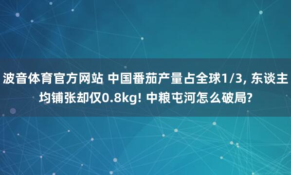 波音体育官方网站 中国番茄产量占全球1/3， 东谈主均铺张却仅0.8kg! 中粮屯河怎么破局?