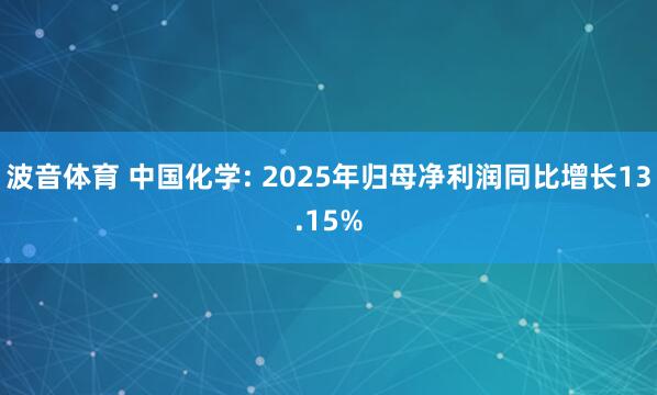 波音体育 中国化学: 2025年归母净利润同比增长13.15%
