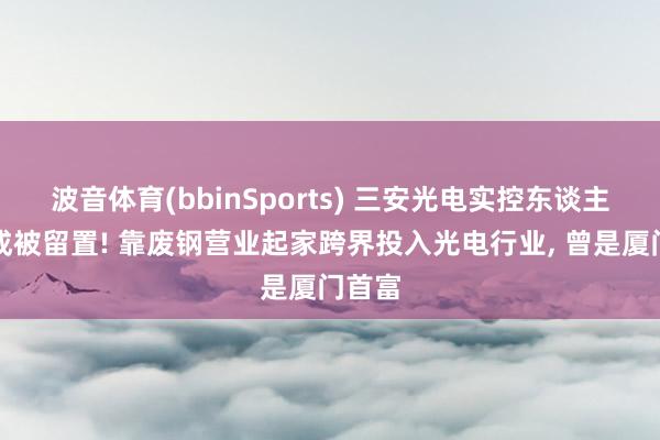 波音体育(bbinSports) 三安光电实控东谈主林秀成被留置! 靠废钢营业起家跨界投入光电行业， 曾是厦门首富