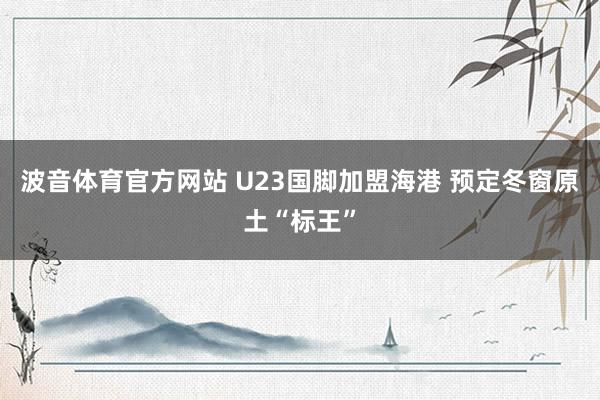 波音体育官方网站 U23国脚加盟海港 预定冬窗原土“标王”