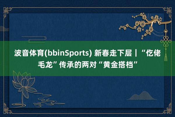 波音体育(bbinSports) 新春走下层｜“仡佬毛龙”传承的两对“黄金搭档”