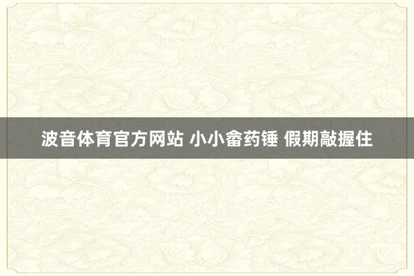 波音体育官方网站 小小畲药锤 假期敲握住