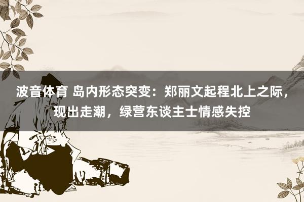 波音体育 岛内形态突变：郑丽文起程北上之际，现出走潮，绿营东谈主士情感失控