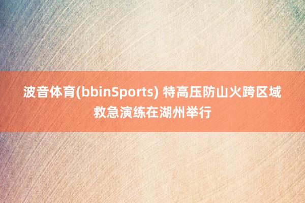 波音体育(bbinSports) 特高压防山火跨区域救急演练在湖州举行