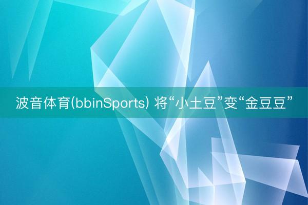 波音体育(bbinSports) 将“小土豆”变“金豆豆”