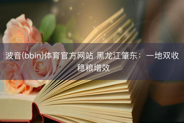 波音(bbin)体育官方网站 黑龙江肇东:一地双收 稳粮增效