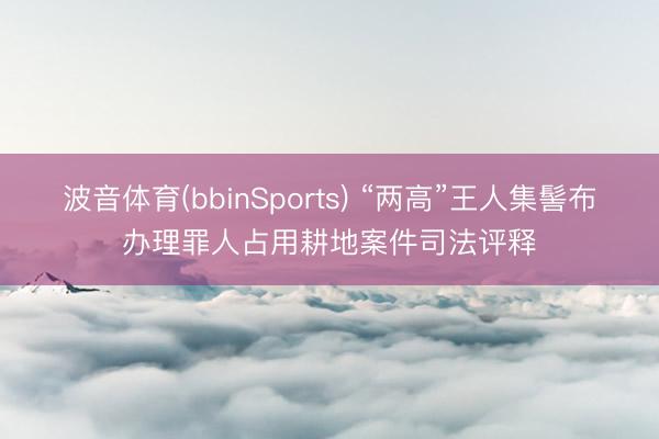 波音体育(bbinSports) “两高”王人集髻布办理罪人占用耕地案件司法评释