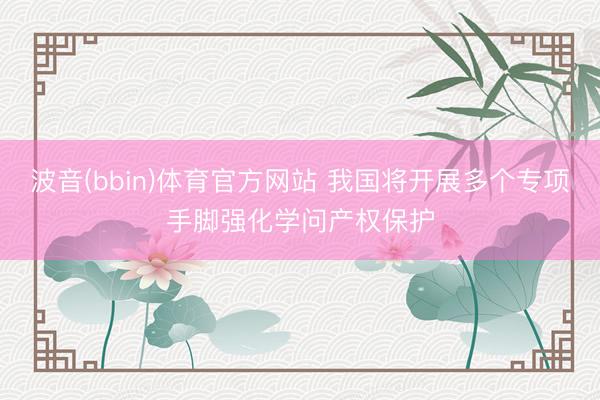 波音(bbin)体育官方网站 我国将开展多个专项手脚强化学问产权保护