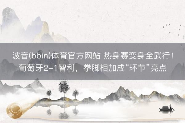 波音(bbin)体育官方网站 热身赛变身全武行！葡萄牙2-1智利，拳脚相加成“环节”亮点