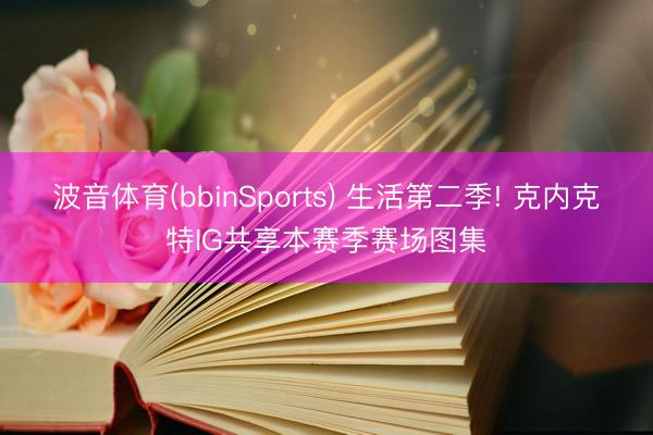 波音体育(bbinSports) 生活第二季! 克内克特IG共享本赛季赛场图集