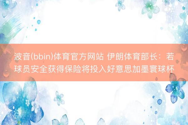 波音(bbin)体育官方网站 伊朗体育部长：若球员安全获得保险将投入好意思加墨寰球杯