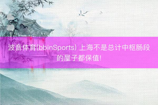 波音体育(bbinSports) 上海不是总计中枢肠段的屋子都保值!
