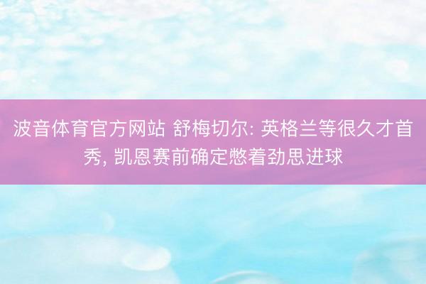 波音体育官方网站 舒梅切尔: 英格兰等很久才首秀， 凯恩赛前确定憋着劲思进球
